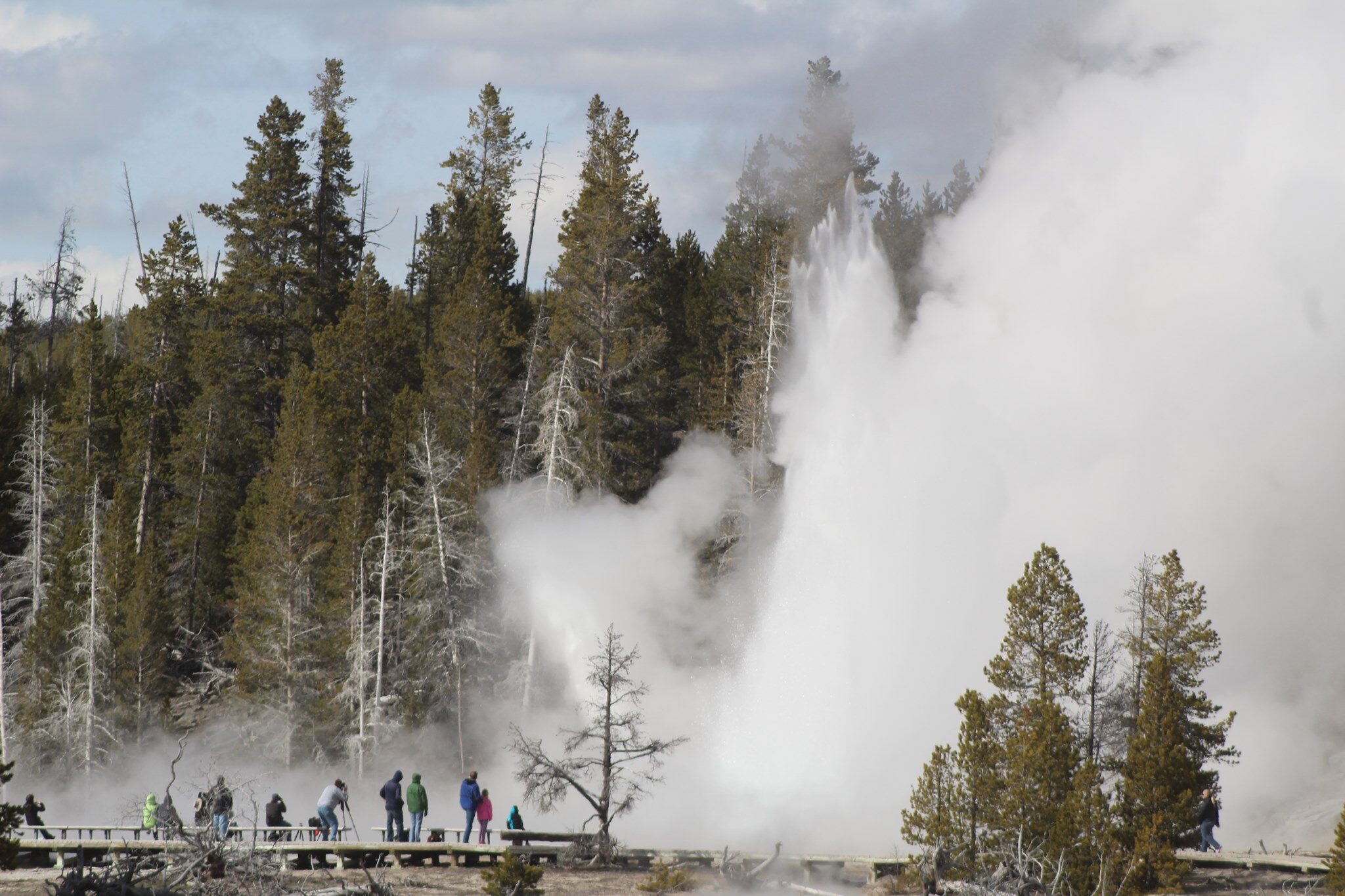 Lucky guests get a show from Grand Geyser, the largest predictable geyser in the world.
